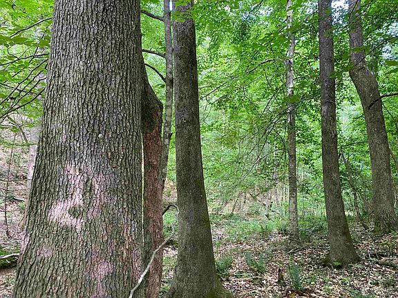 23rd image of this home