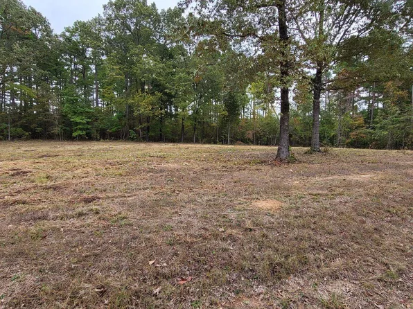 52 Burning Tree Rd, Higden, AR 72067