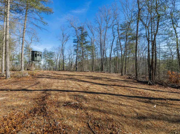 Stribling Springs Rd, Mount Solon, VA 22843