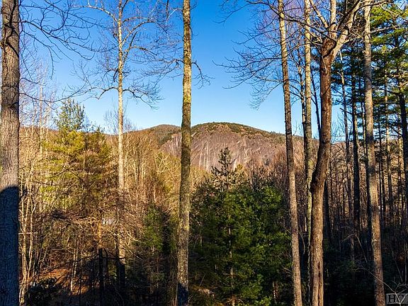 4th image of 245 Montreat Dr