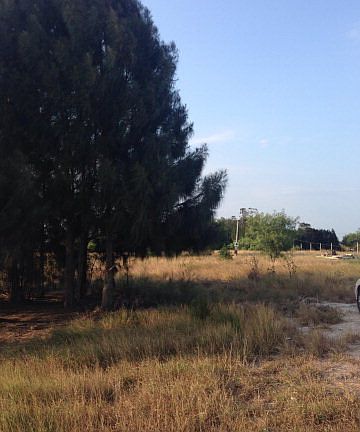 5th image of 9801 Laguna Escondida