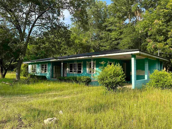 25 Saint James Ave, Rhine, GA 31077
