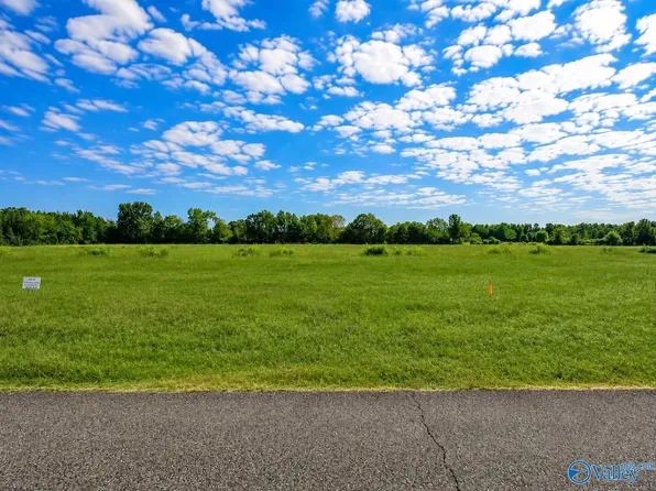 17216 Red Hill Rd, Athens, AL 35611