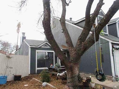 2nd image of 10059 Amber Field Dr