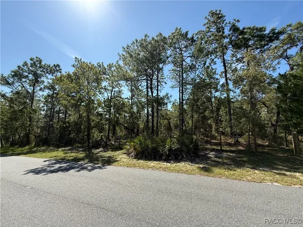 9006 Michigan Ave, Weeki Wachee, FL 34613