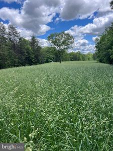 2617 Warrenton Rd, Fredericksburg, VA, 22406