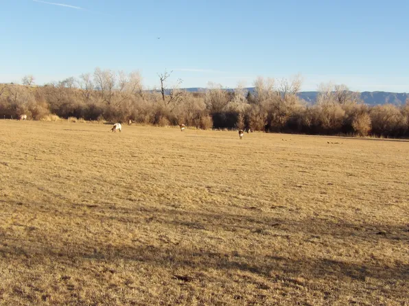 (undisclosed Address), Montrose, CO 81401