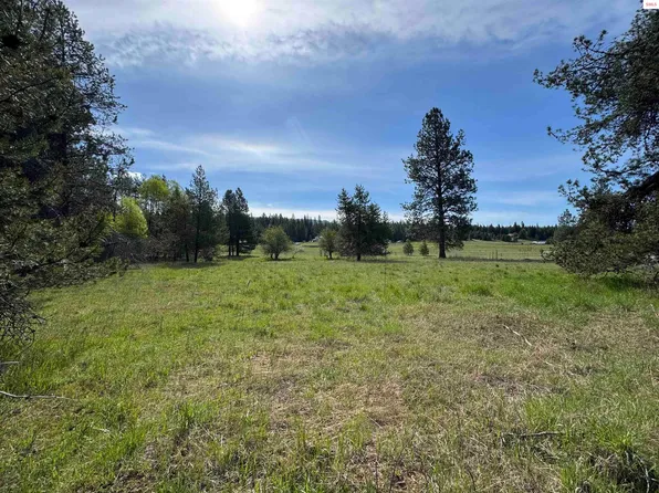 Nna Sanborn Lot 2, Priest River, ID 83856