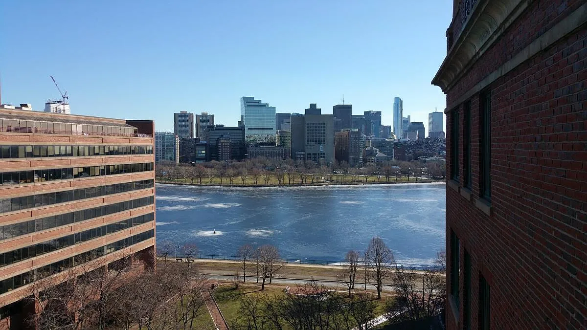 1 bed, 863 sqft, $3,600 — Photo 4