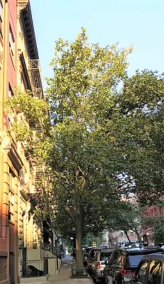 Rented by The Find NY | media 22