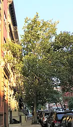 Rented by The Find NY