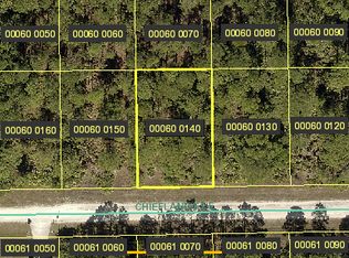 1143 Chiefland St E, Lehigh Acres, FL 33974
