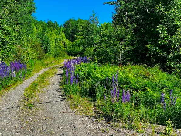 Lot 13 Main Street, Sandy River Plt, ME 04970