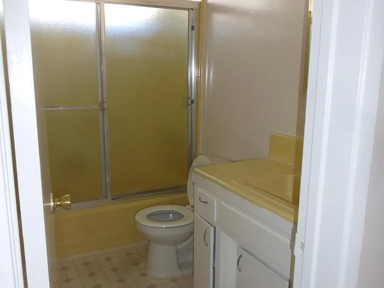 bathroom shower/tub combo