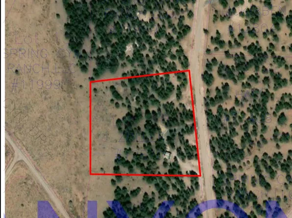 11-LOT 19 Spring Canyon Cir, Quemado, NM 87829