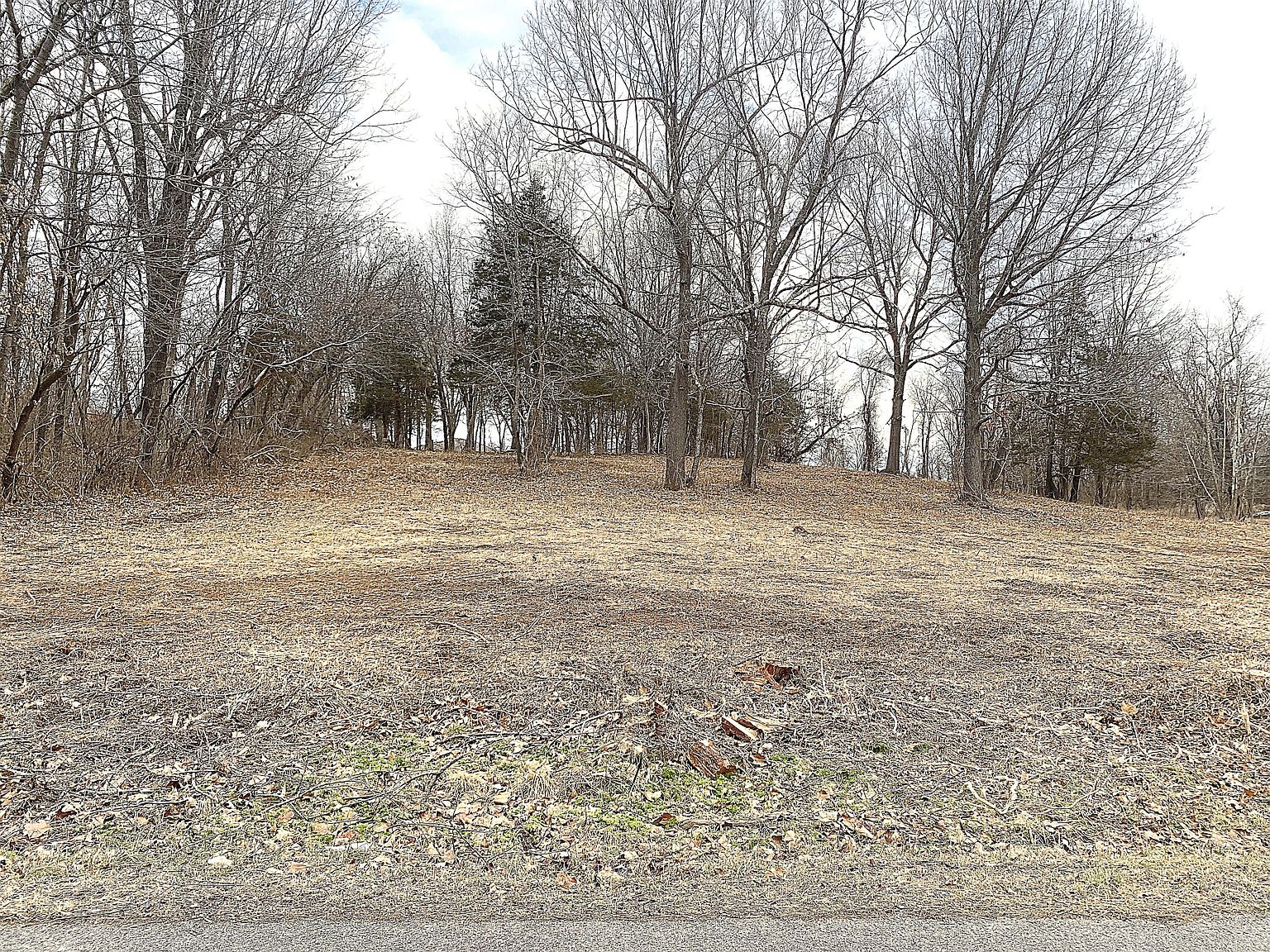 5679 East Farm Rd 122, Strafford, MO 65757 MLS 60210164 Zillow