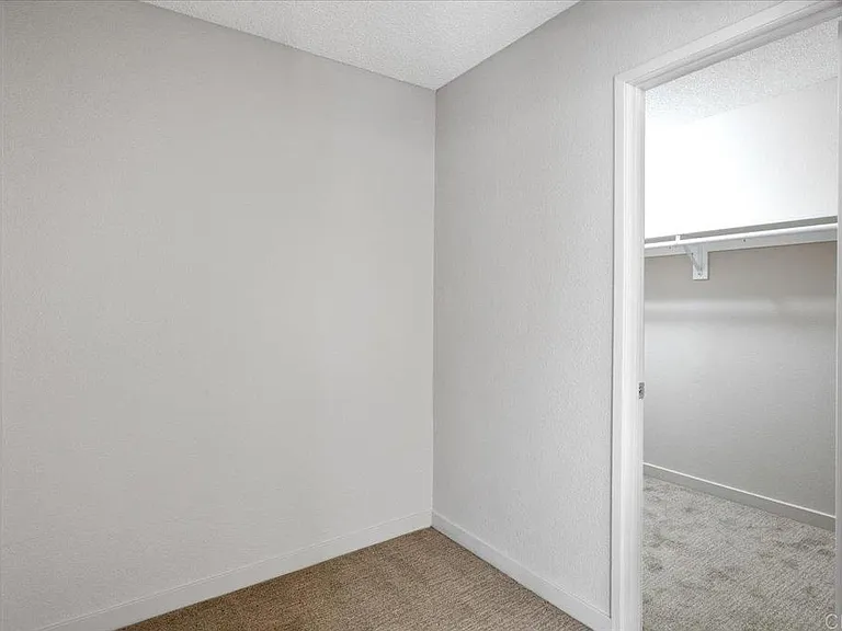 31318 Club Vista Ln — Photo 17