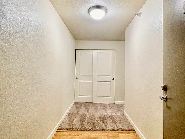 Recently carpet deep cleaned!