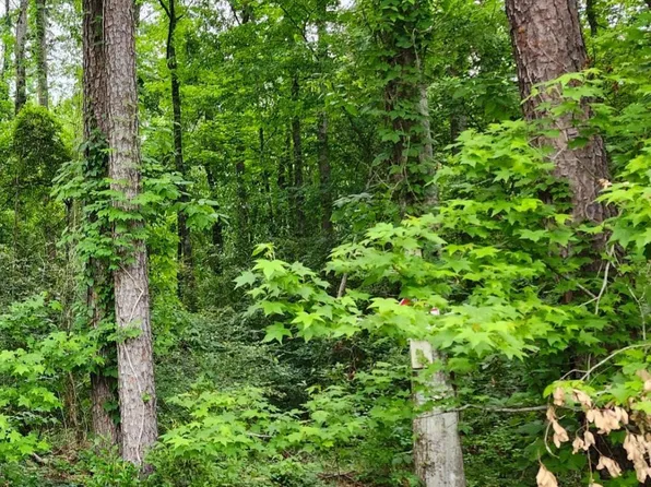 LOT 84 Baker Dr Lot 84, Denham Springs, LA 70726