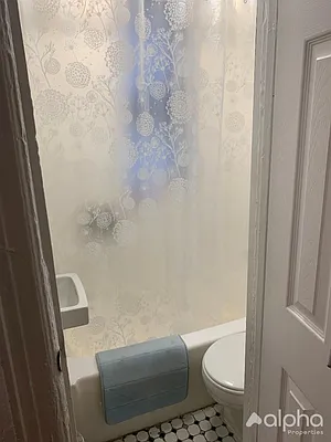 Rented by Alpha Properties NYC I LLC | media 20