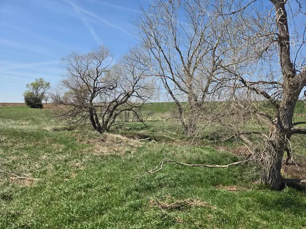 1655 NW 80th Ave, Olmitz, KS 67564