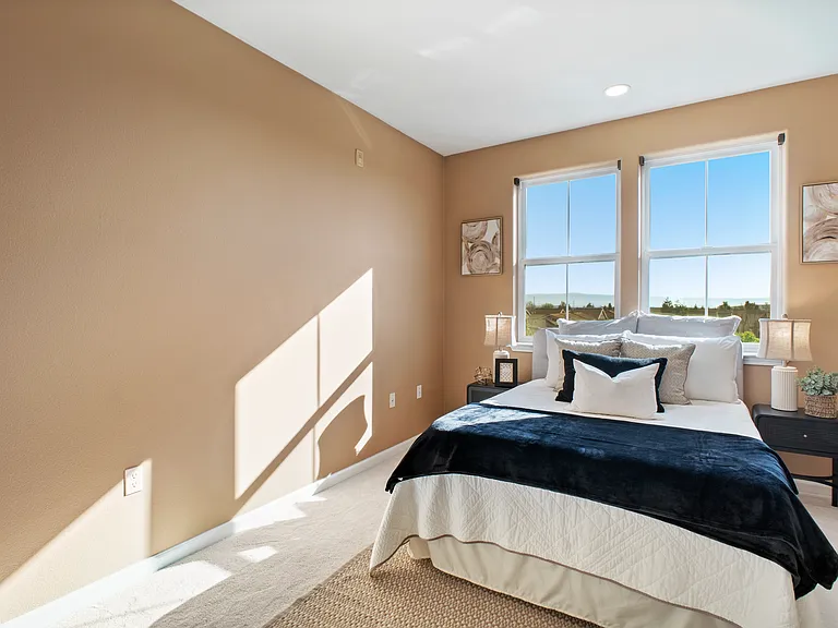 49002 Cinnamon Fern Cmn #402 — Photo 12