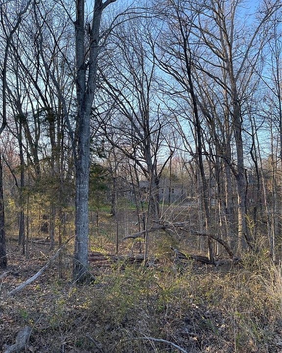 2nd image of 40 Airton Cir