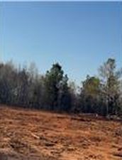 LOT 4 Lee Road 158, Salem, AL, 36874