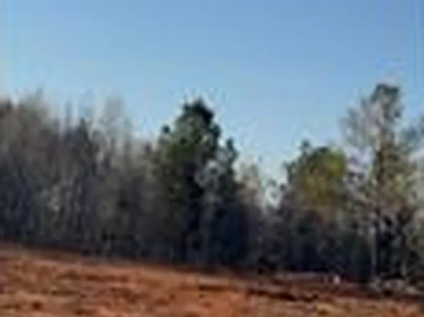 7315 Lee Road 158, Salem, AL 36874