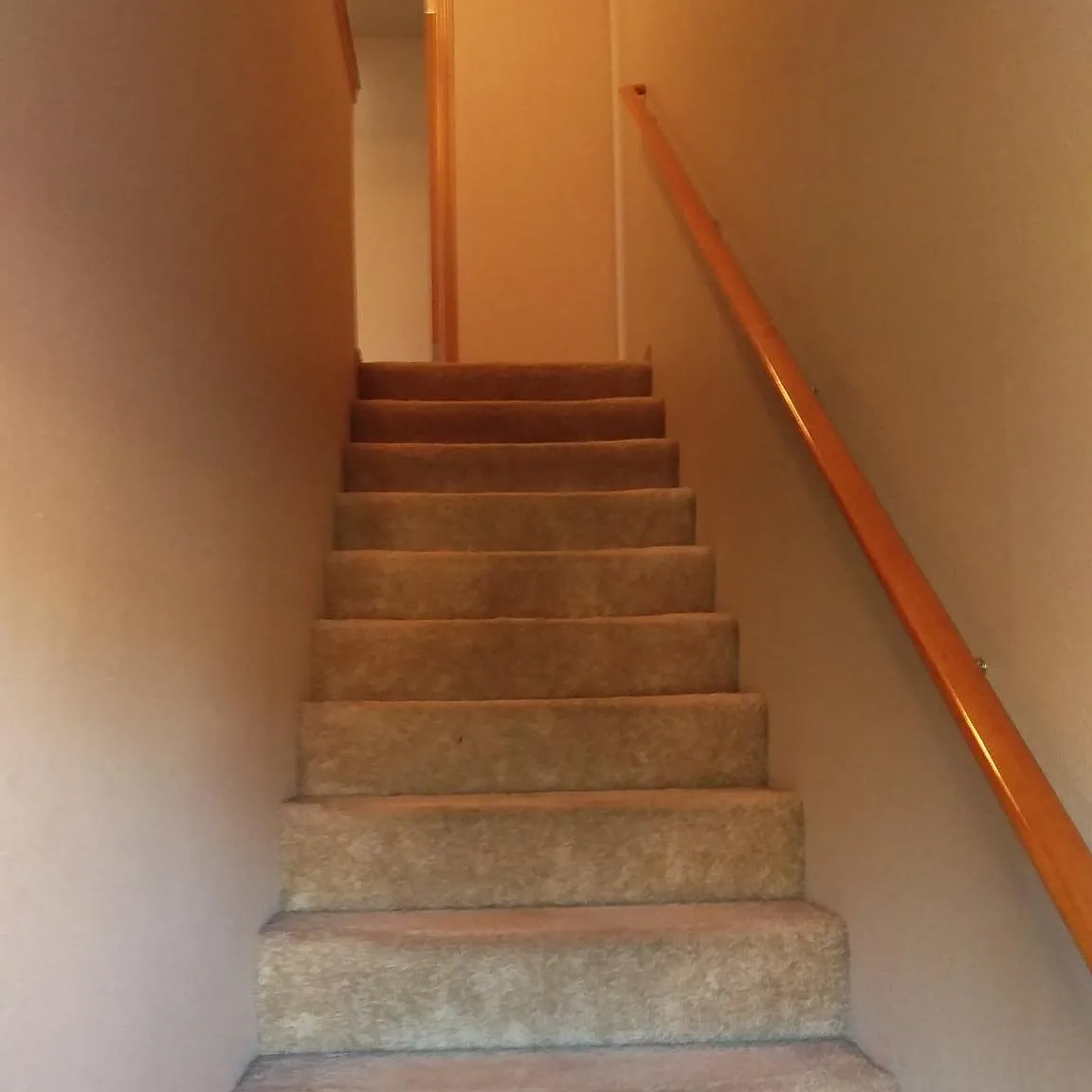 1 bed, $1,100 — Photo 4