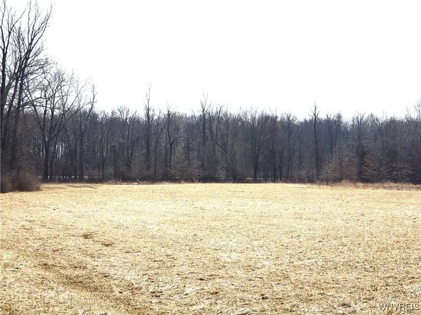 Vl Dale Road Dale Rd #18, Gasport, NY 14067