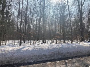 Wildwood Rd, Wolverine, MI 49799