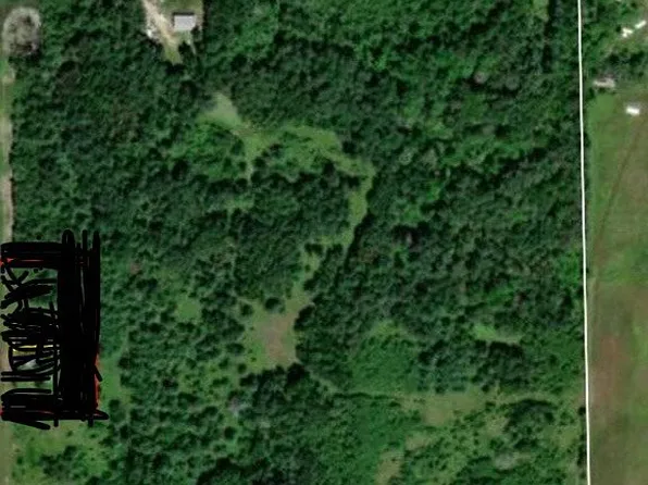 3540 Bee Ln, Lupton, MI 48635