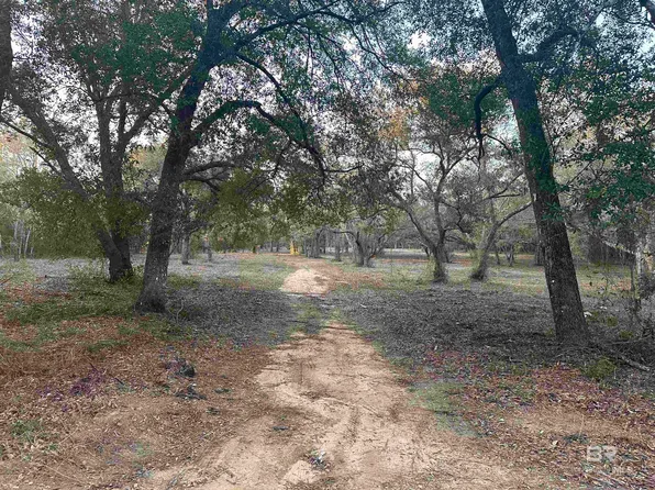 0 County Road 99, Lillian, AL 36549