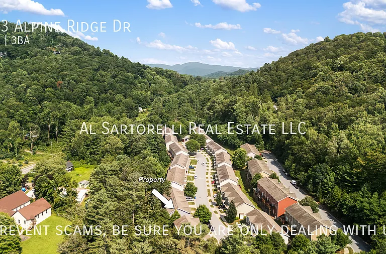 163 Alpine Ridge Dr — Photo 31