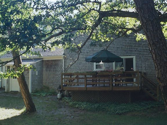 View from backyard