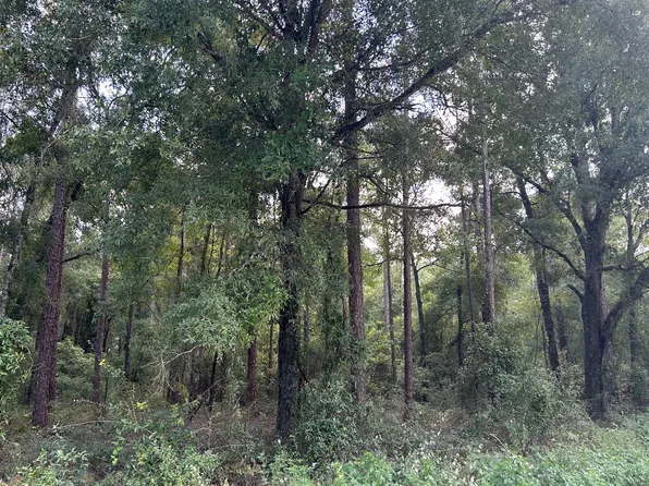 198 Terrace, O'Brien, FL 32071