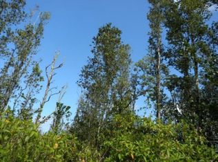 16th Ave LOT 325, Keaau, HI 96749