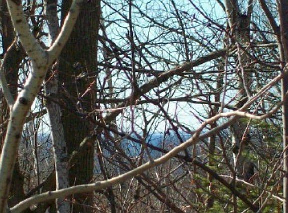 4th image of Bluff Ledge Rd