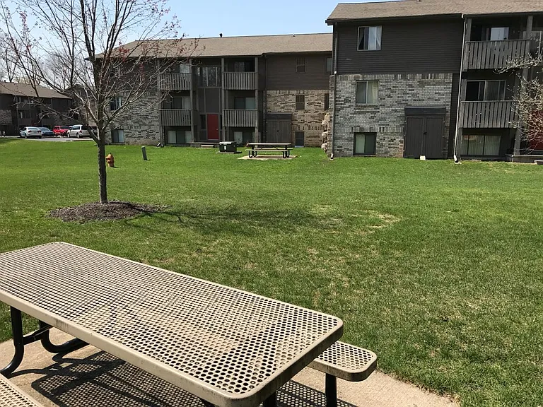 Backyard Picnic Area