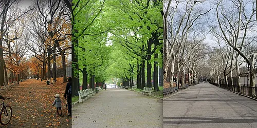 Rented by Manhattan Management LLC