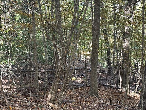 4th image of Lot 24 Larkspur Trail