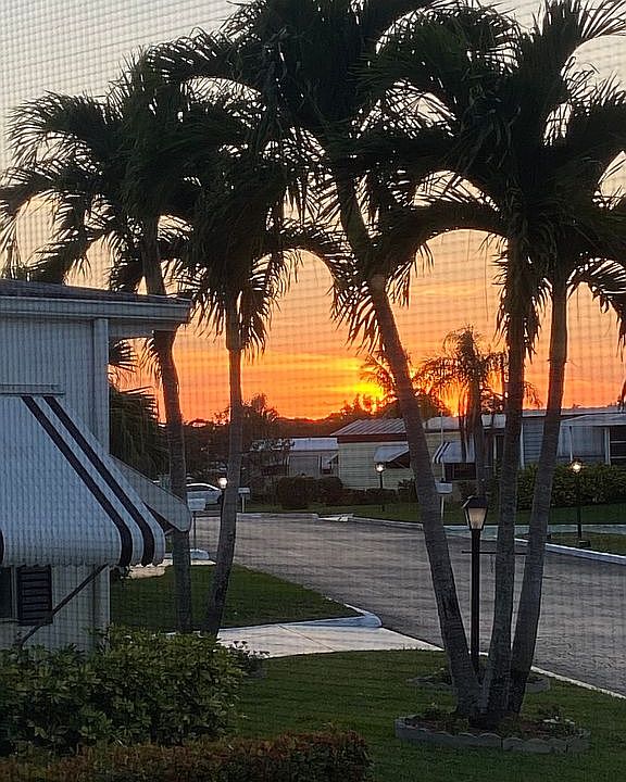 Beautiful sunset’s 