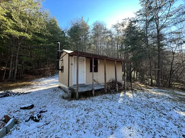 98 Mulberry Ln, Bastian, VA 24314