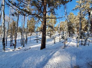 37 Antelope Cir, Florissant, CO 80816