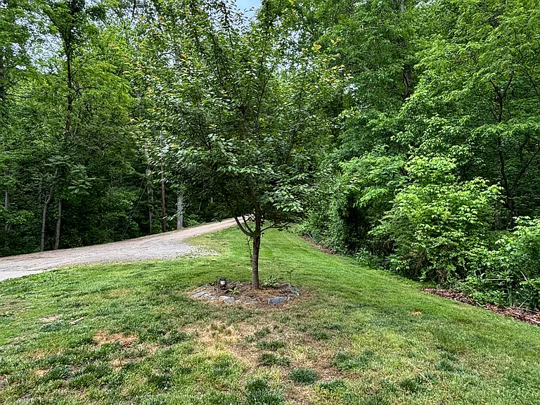 All Seasons Ln — Photo 6