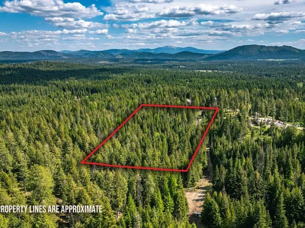 270 Lupine Ln, Newport, WA 99156