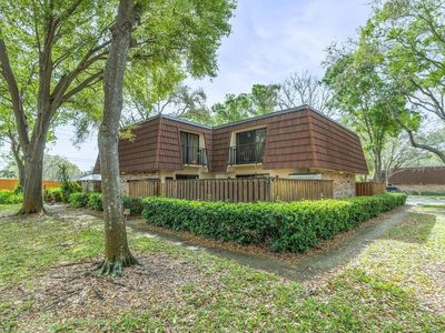 2749 5th Ct, Palm Harbor, FL, 34684