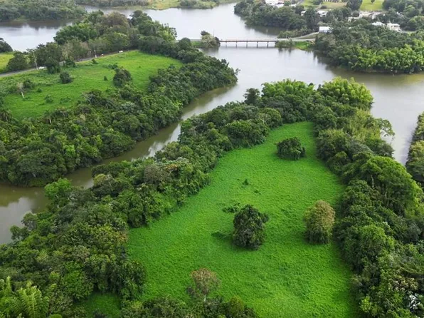 State Highway 172 Km #16.2, Cidra, PR 00739