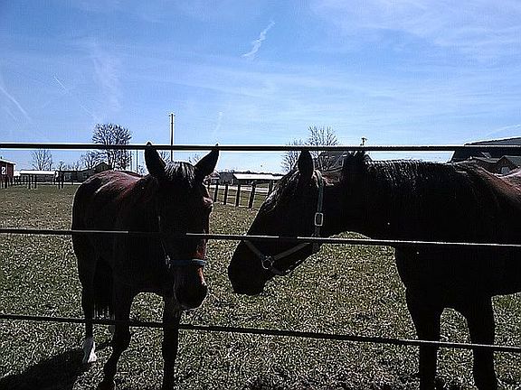 5th image of 9291 E Prior Rd